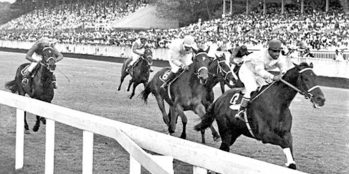 Mahalaxmi race course mumbai​​​