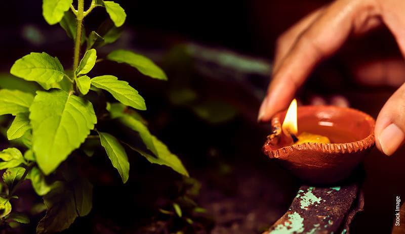 Tulsi Plant Vastu: Benefits, Directions & More
