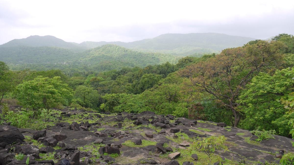 Yeoor Hills